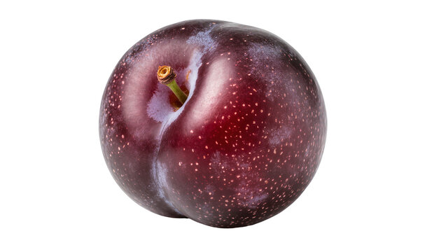 Ripe dark red plum with small white dots and stem