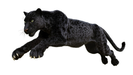 Black panther leaping with green eyes and spotted fur © Julia