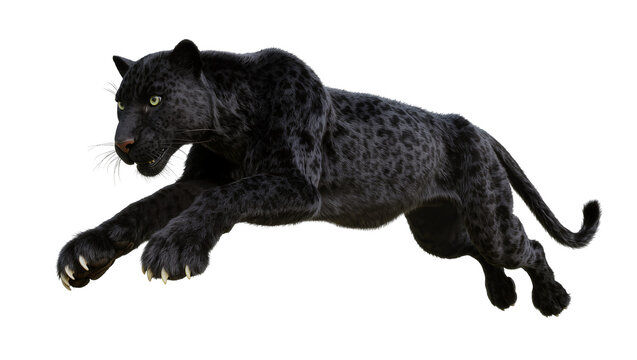 Black panther leaping with green eyes and spotted fur