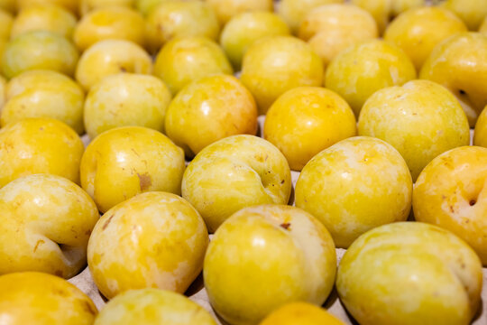 Yellow plums close up in market box showing ripe greengage fruit with fresh smooth skin from above