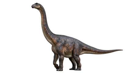 Sauropod dinosaur with long neck and tail, realistic rendering © Lisa