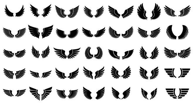 Black wings silhouette collection, set of 40 bird and angel wing icons, heraldic feather wing shapes for logo design and tattoo art