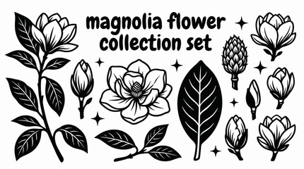magnolia flower collection set with different blossoms buds leaves vector illustration black and branches arranged as premium botanical floral assets for elegant decoration and commercial © samira