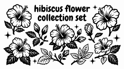 Obraz premium hibiscus flower collection set with tropical hibiscus blossoms buds leaves vector illustration black and branches arranged as exotic botanical design elements for commercial