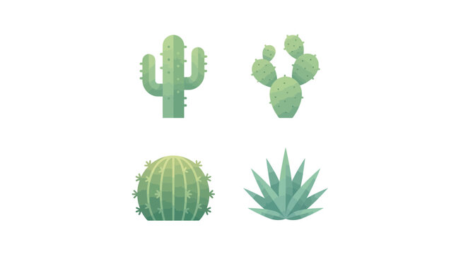 Variety of green succulent plants.