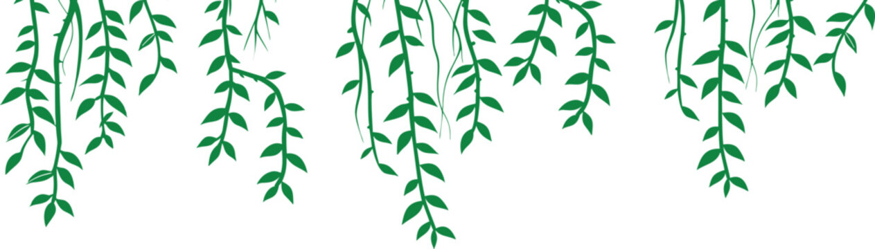 Hanging green vine leaves border isolated on white background. Elegant cascading botanical foliage creates a fresh natural decorative frame. Flat vector nature design element.