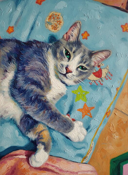 Cute Cat looks