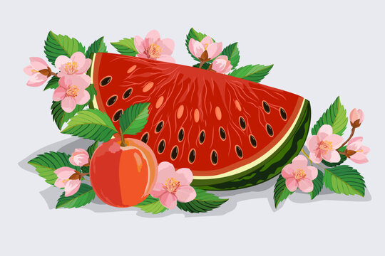 Illustration with a slice of watermelon and a peach.Color illustration with a slice of red watermelon, ripe peach and fruit tree flowers on a light background.