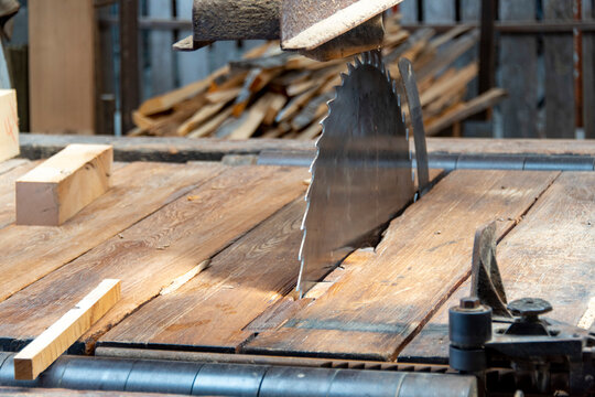 Industrial Circular Saw Bench in Sawmill