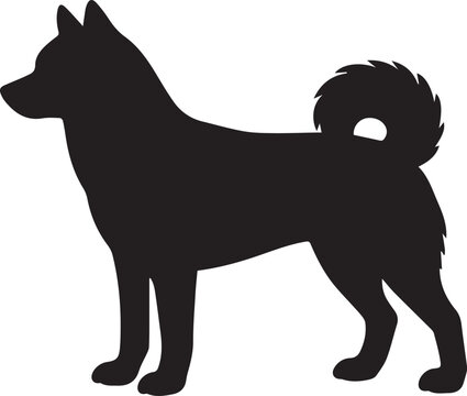 Alaskan Klee Kai vector illustration of a dog
