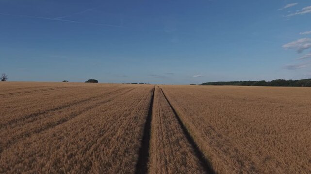 Aerial view of a vast golden wheat field featuring parallel crop tracks stretching toward the horizon.