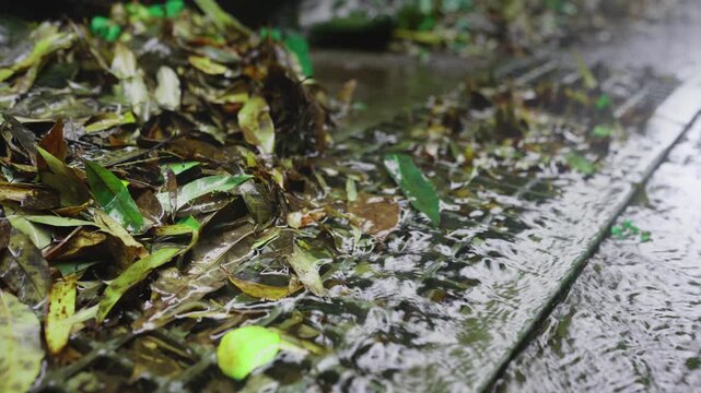 Cinematic rainwater overflowing street drain with leaves in Japan for b-roll