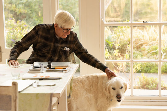 elderly man with his English cream golden retriever dog at home