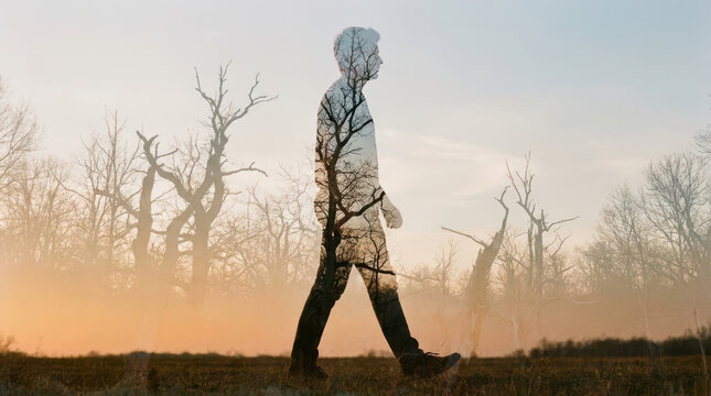 Man walking silhouette forest trees double exposure sunset nature landscape