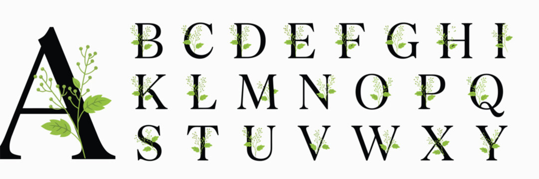Floral alphabet letters with green branches and leaves