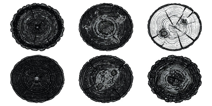 Set of hand drawn wooden tree log cross section rings in black and white sketch style