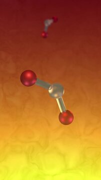 Nitrogen Oxides Spinning in Microscopic Biological World - Air Pollutant