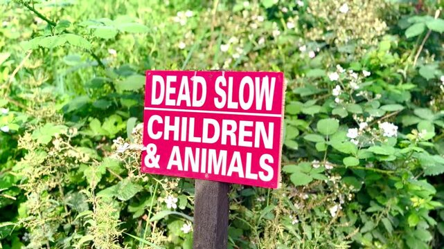 drive slowly beware of children and animals public red and white road sign