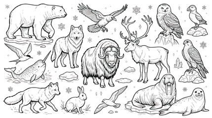 Arctic animals line art collection, hand drawn polar wildlife vector set, black and white winter fauna illustrations for coloring book and education © Fahad