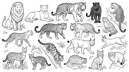 Vintage wild cats engraving set, 15 black and white feline animal sketches, hand drawn big cats vector collection for wildlife education and coloring books © Fahad
