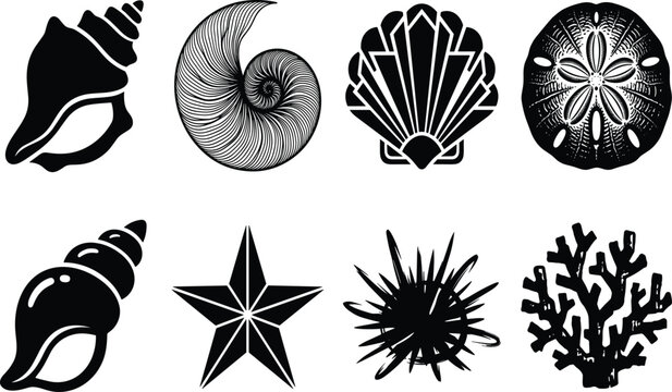 Collection of sea shell silhouettes featuring conch nautilus scallop sand dollar starfish sea urchin and coral isolated on white background