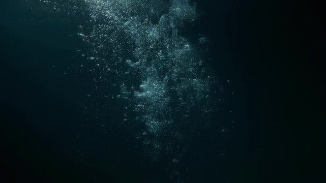 Underwater jellyfish swarm in deep ocean currents