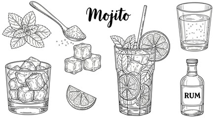 Mojito vector icons, refreshing drink elements, cocktail illustrations, minty beverage graphics © Sydney