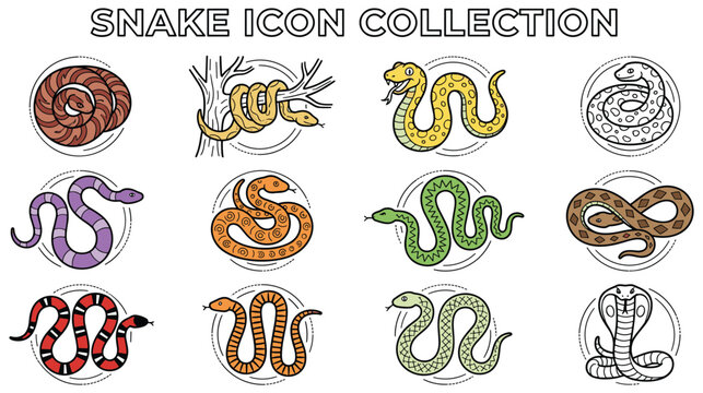 Snake icon collection colorful reptile species outline.