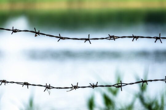 Stacheldraht am See