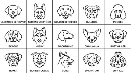 Dog Breeds, Vector Icons, 15 Dog Types, Black and White Line Art © Rosie