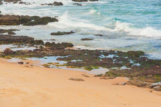 Rocky beach and ocean waves