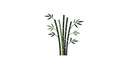 Obraz premium Bamboo plant with green leaves.