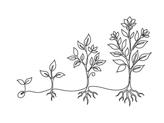 Fototapeta premium Plant Growth Stages: Seedling to Blooming Tree in Continuous Line Art