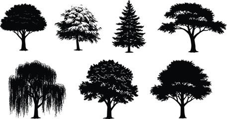 Fototapeta premium Collection of black tree silhouettes with diverse shapes and foliage, vector illustration of forest trees isolated on white background