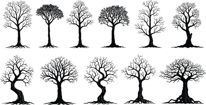 Collection of leafless tree silhouettes with twisted trunks and detailed branches, vector illustration of winter forest trees isolated on white
