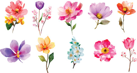 Fototapeta premium set of spring flowers