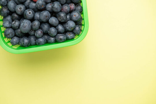 Fresh picked blueberries in a bright green basket on a light green background.