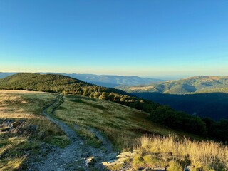 Winding hiking trail across the golden high pastures © Mickaël LEBRET