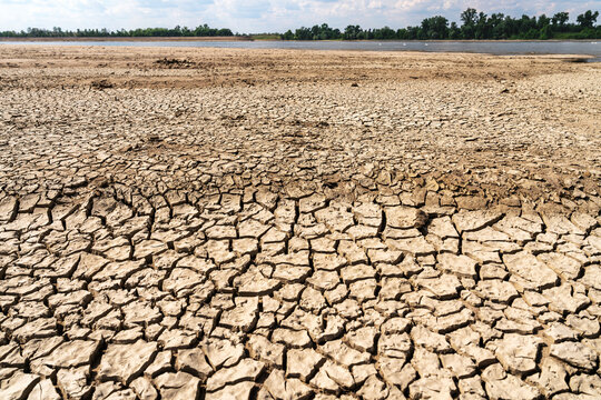 Dried-up riverbed with cracked soil