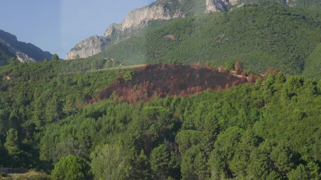 A video showing a large patch of charred earth and scorched trees from a forest fire on a lush green mountain ridge near Tirana.