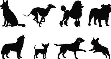 Collection of detailed black dog silhouettes featuring various popular breeds isolated on a clean white background © MdAlamgir