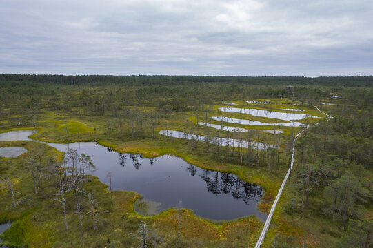 Aerial view of the Viru bog nature trail featuring winding wooden boardwalks, scattered dark water pools, and surrounding pine forests in Loksa, Harju maakond, Estonia.