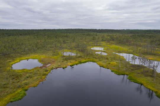Aerial view of Viru bog nature trail with dark pools, mossy vegetation, and pine trees under a cloudy sky in Loksa, Harju maakond, Estonia.