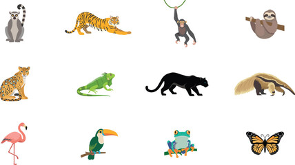 Obraz premium Jungle and Rainforest Exotic Animal Vector Illustration Set Featuring Tiger, Jaguar, Sloth, Lemur, Toucan, Flamingo, and Tree Frog for Wildlife Designs