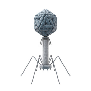 Bacteriophage T2 Virus Isolated Background