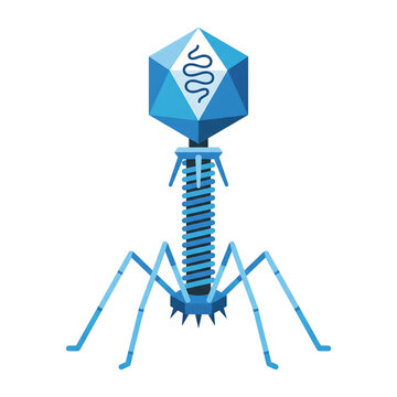 Bacteriophage T2 Virus Isolated