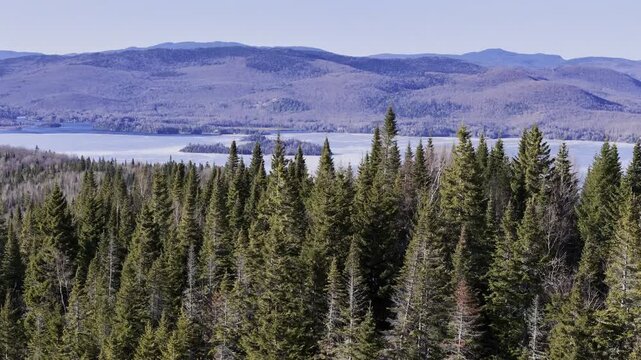 defaultAerial view of winding road along frozen lake in Quebec with forest and mountains under blue sky. g.