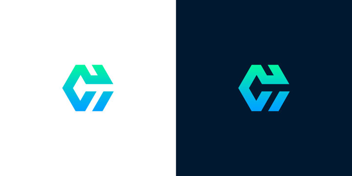 Modern Hexagonal Letter C and H Monogram Logo Design Vector Template