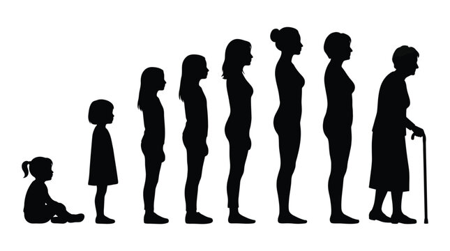 Silhouette representations of human life stages from babyhood through old age
