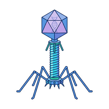 Bacteriophage T2 Virus Transparent Background